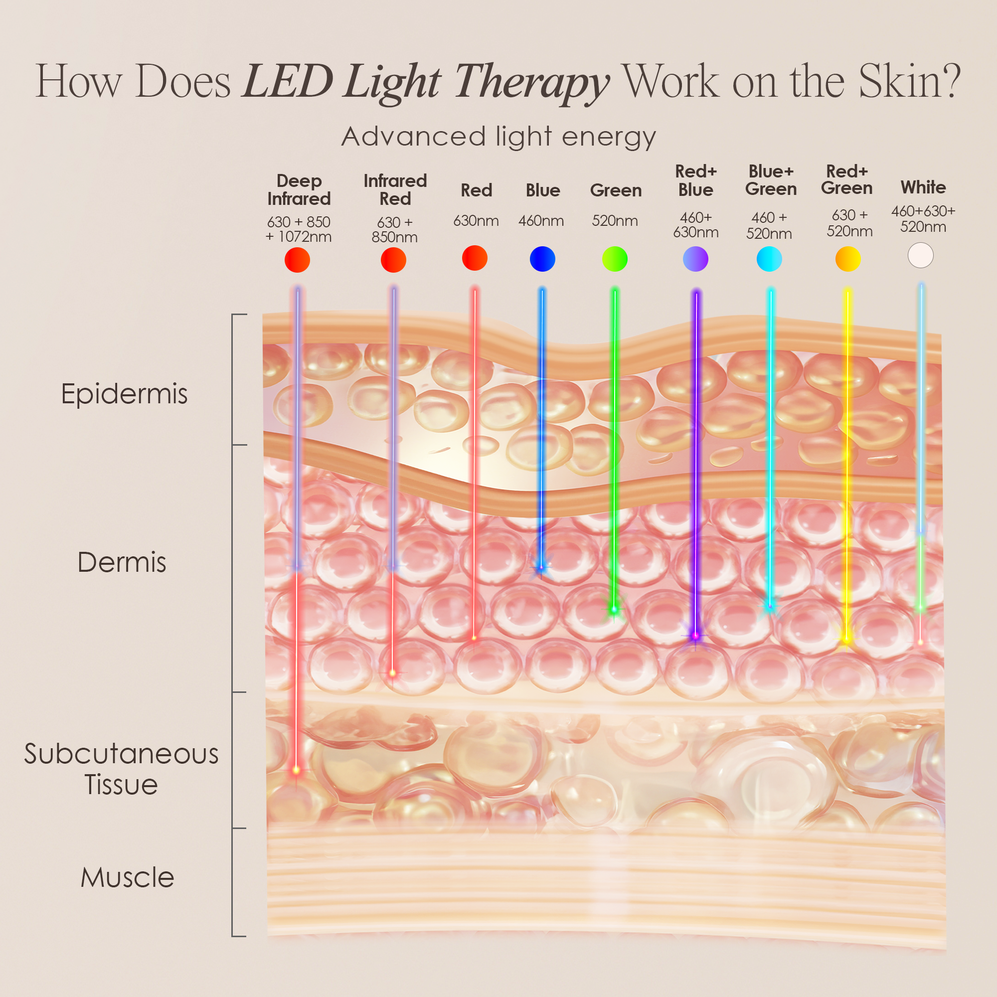 LumaLux Neck & Dec | Pro LED Red Light Therapy Mask - Project E Beauty